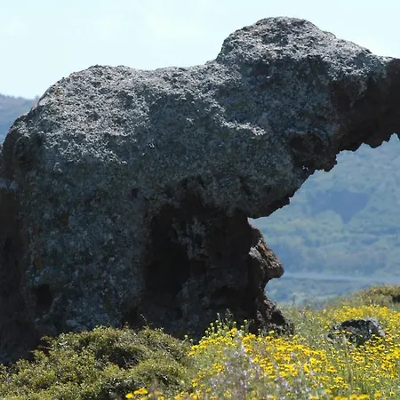 Appartamento Casa Lihele - Locazione Turistica *