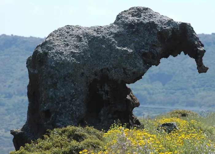 公寓 Casa Lihele - Locazione Turistica *
